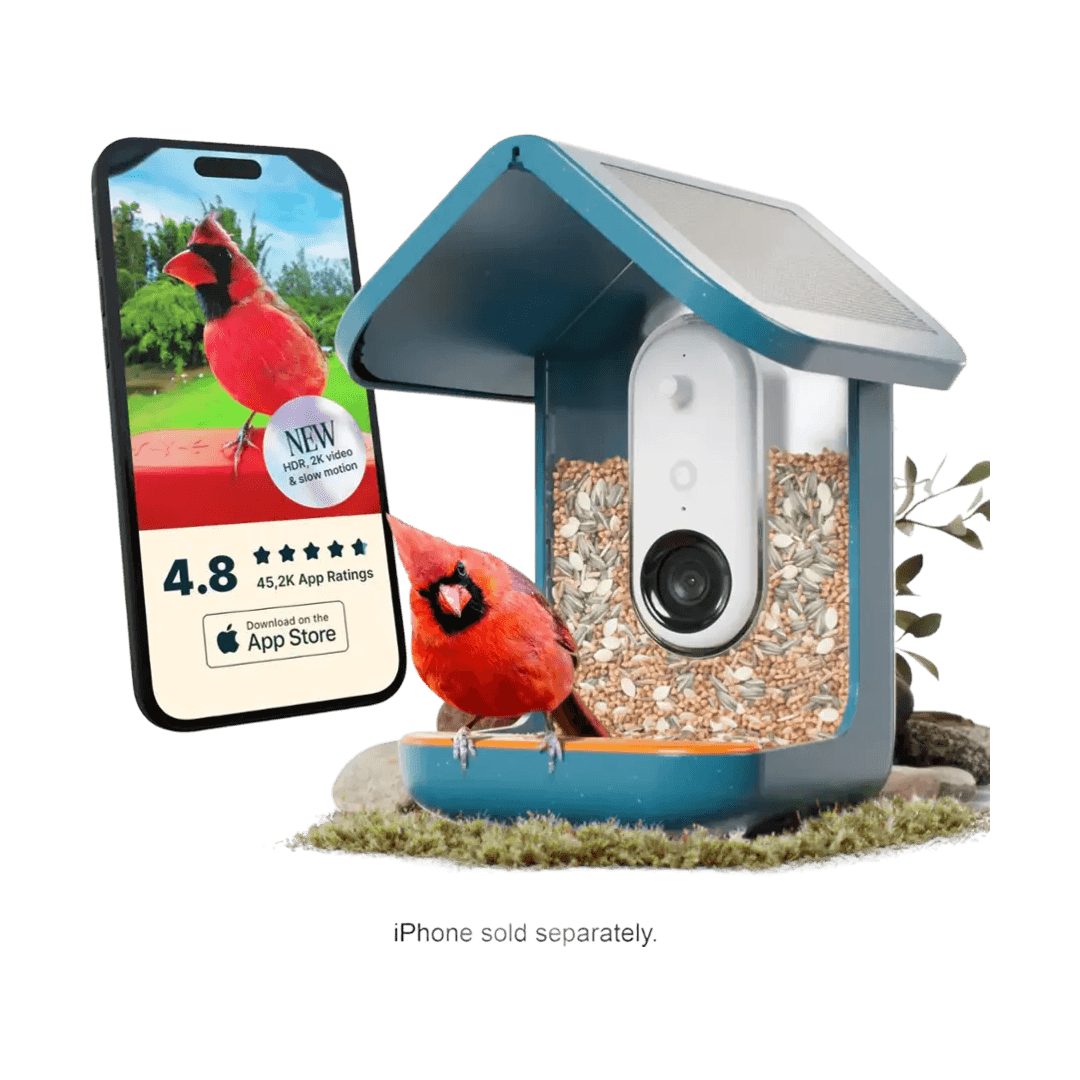 bird-buddy-smart-bird-feeder-pro