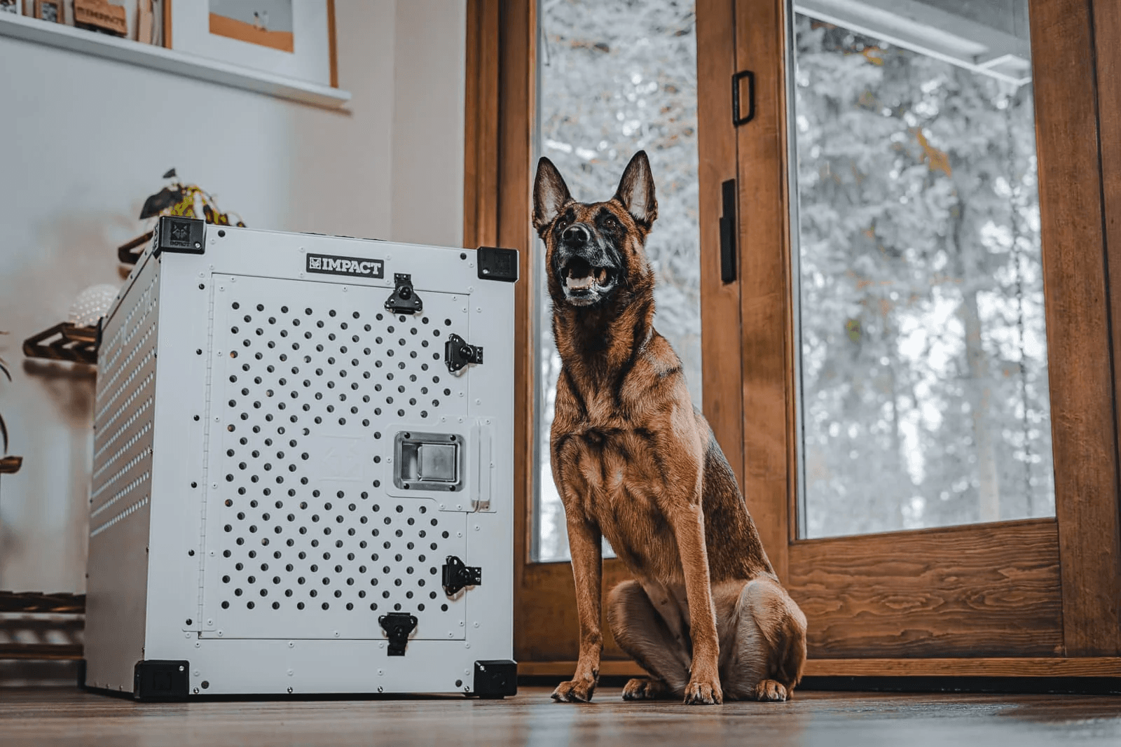 An Impact dog crate